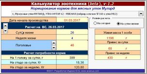 Расчет кормов для уток, нормирование корма